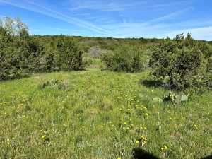209 County Rd 310 (40)