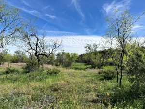 209 County Rd 310 (41)