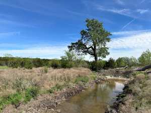 209 County Rd 310 (42)