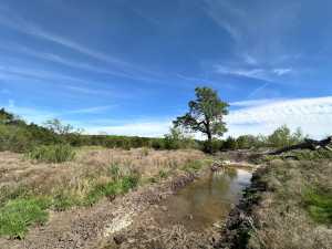 209 County Rd 310 (43)
