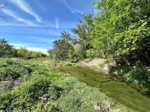 209 County Rd 310 (44)