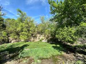 209 County Rd 310 (45)