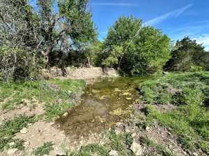 209 County Rd 310 (46)