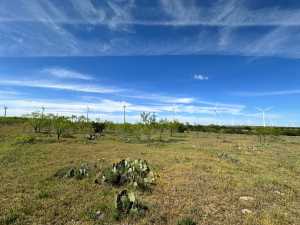 209 County Rd 310 (47)
