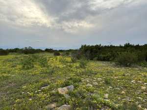 209 County Rd 310 (6)
