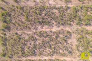 3330 S Pheasant Run (22)