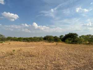 11422 W Grape Creek Rd (28)