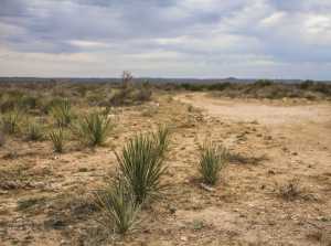 11422 W Grape Creek Rd (8)