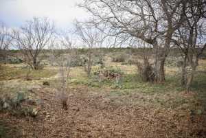 11422 W Grape Creek Rd (6)