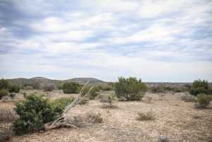 11422 W Grape Creek Rd (7)