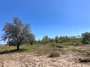 11422 W Grape Creek Rd (13)