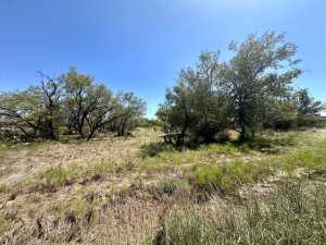 11422 W Grape Creek Rd (14)