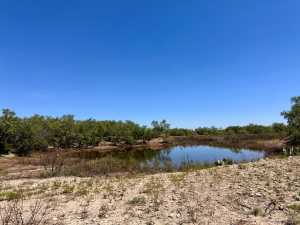 11422 W Grape Creek Rd (15)