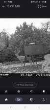 1019 Whitetail Trl (39)