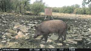 1019 Whitetail Trl (3)