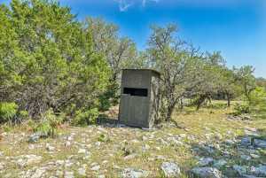 1019 Whitetail Trl (4)