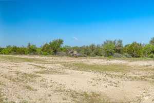 1019 Whitetail Trl (6)