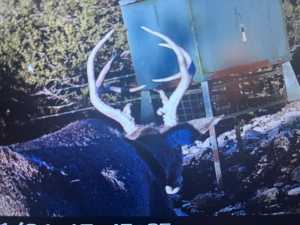 1019 Whitetail Trl (16)