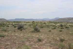 TR 15R Sierra la Rana (6)