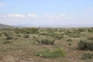 TR 15R Sierra la Rana (7)