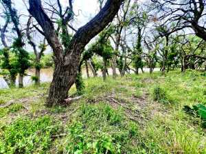 Door Key Rd (15)
