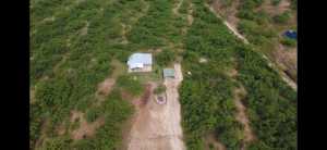 11481 Grape Creek Rd (4)