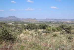Tract 20 Sierra la Rana (6)
