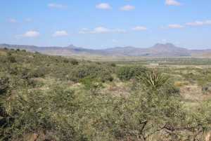 Tract 20 Sierra la Rana (8)