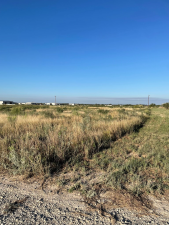 6859 Oilfield Drive (6)