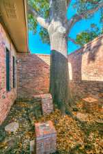 5114 Fairway Dr (39)