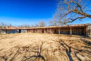 12315 Dove Creek Lane West (23)