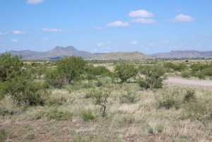 TR 24R Sierra la Rana (6)