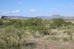 TR 24R Sierra la Rana (8)