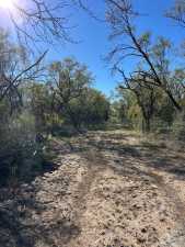 12056 Spring Creek Lane (41)