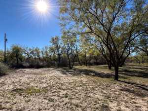 12056 Spring Creek Lane (8)