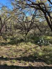 12056 Spring Creek Lane (35)