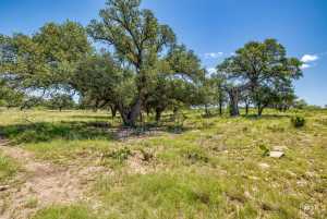6873 Green Oaks Dr (55)