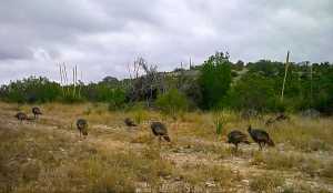 Lot #48 County Rd 410 (4)