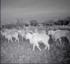 Lot #48 County Rd 410 (6)