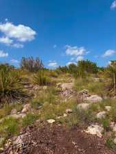 Lot #48 County Rd 410 (14)