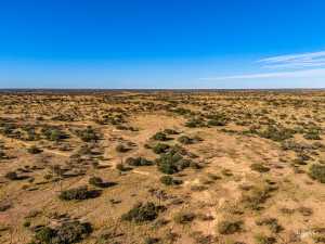 3475 Private Rd 3324 (43)