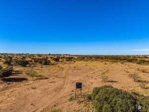 3475 Private Rd 3324 (45)