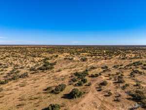 3475 Private Rd 3324 (49)