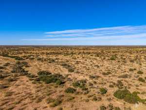 3475 Private Rd 3324 (50)