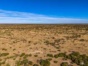 3475 Private Rd 3324 (51)