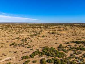 3475 Private Rd 3324 (52)