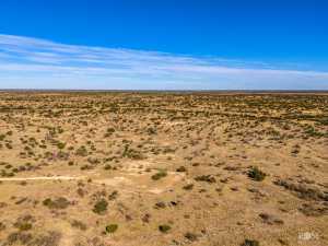 3475 Private Rd 3324 (53)