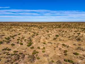 3475 Private Rd 3324 (54)