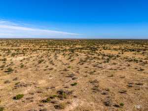 3475 Private Rd 3324 (55)