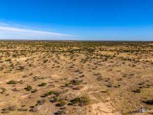 3475 Private Rd 3324 (56)